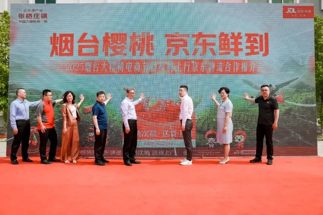 图片4