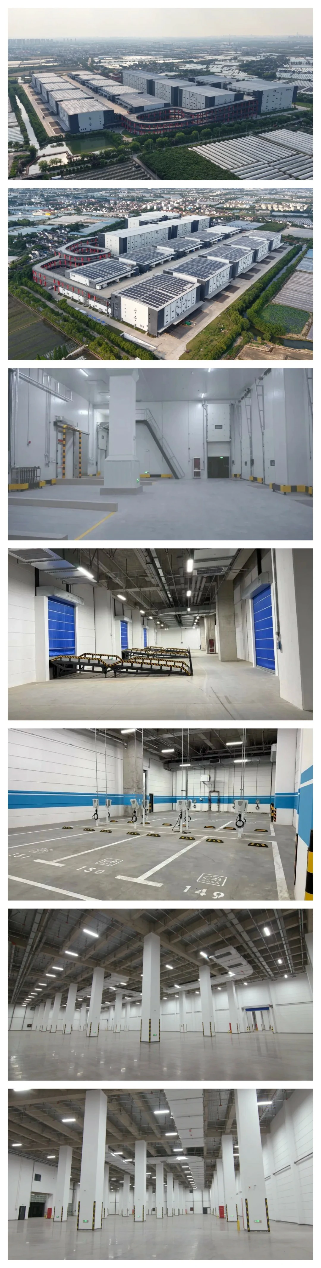 show_663033119_1763030440517